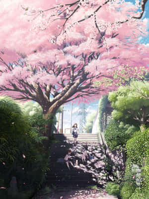Sakura Blossom Stairway Wallpaper