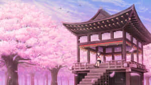 Sakura Blossom Temple Scenery Wallpaper