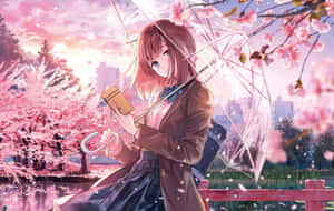Sakura Blossom Umbrella Girl Wallpaper