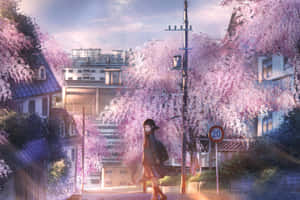 Sakura Blossom Urban Stroll Wallpaper