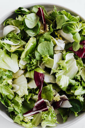 Salad Lettuce Wallpaper