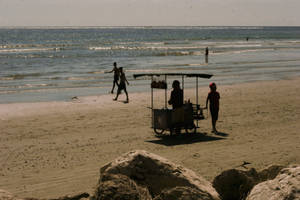 Samara Beach Costa Rica Wallpaper