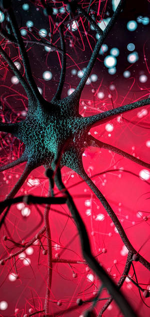 Samsung A71 Embodying The Power Of Brain Neurons Wallpaper