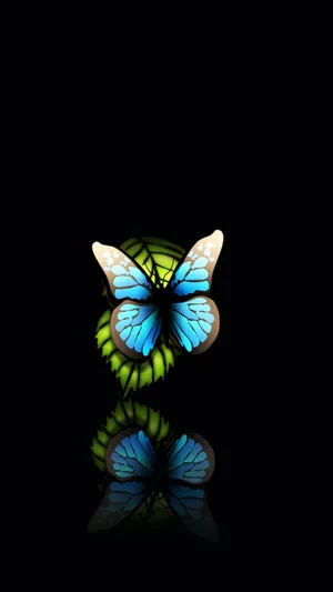 Samsung Galaxy 4k Blue Butterfly Wallpaper