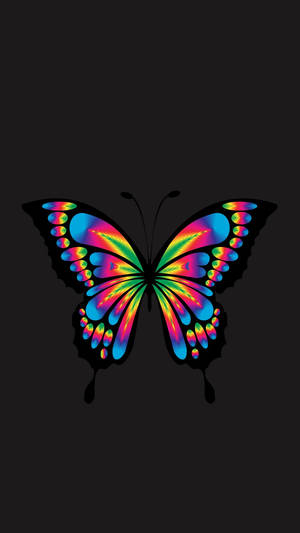 Samsung Galaxy 4k Colorful Butterfly Wallpaper