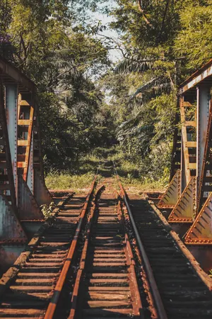 Samsung Galaxy 4k Train Tracks Forest Trees Wallpaper