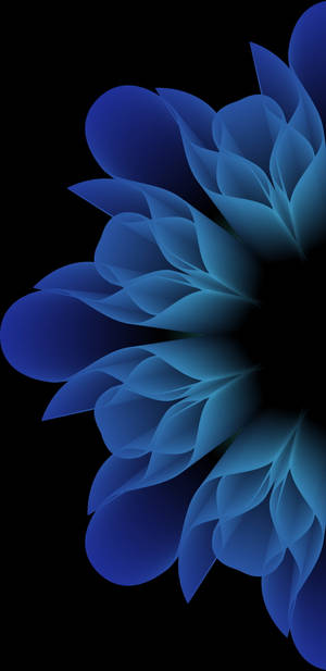 Samsung Note 20 Flower Wallpaper