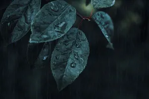 Samsung S20 Ultra Droplets Wallpaper