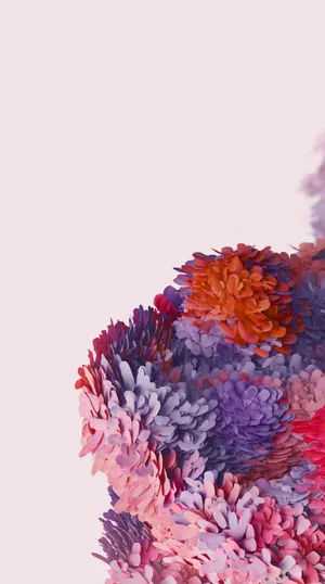 Samsung S20 Ultra Photograph Wallpaper