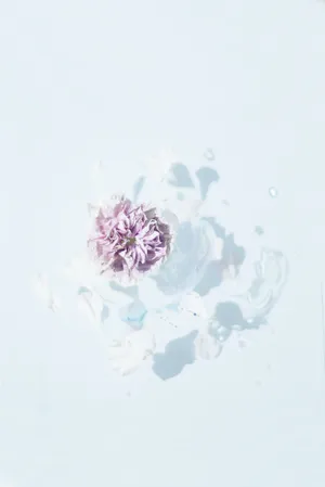 Samsung S20 Ultra Pink Blossom Wallpaper