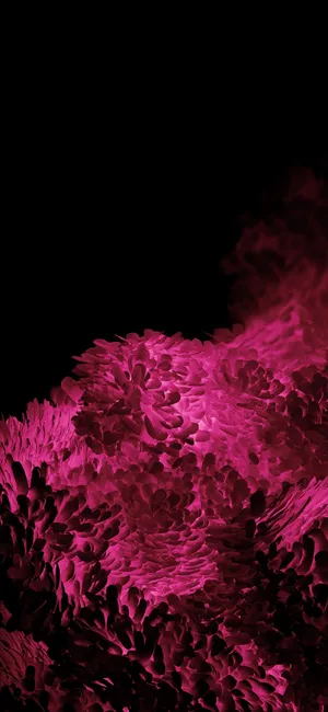 Samsung S20 Ultra Pink Sponge Wallpaper