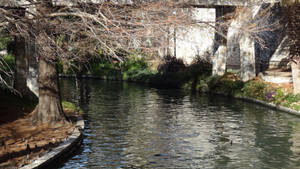 San Antonio River Walk With Trees Wallpaper