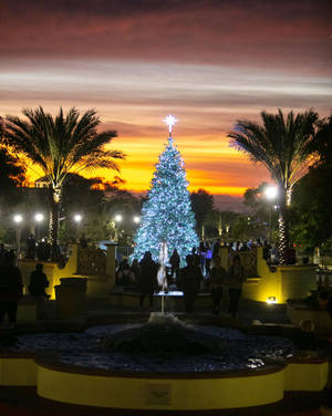 San Diego Christmas At Balboa Park Wallpaper