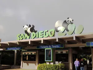 San Diego Zoo Front Gate Wallpaper