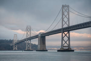 San Francisco 4k Daytime Photograph Wallpaper