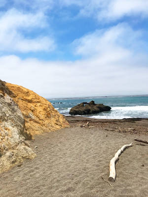 San Simeon Beach Driftwood Wallpaper