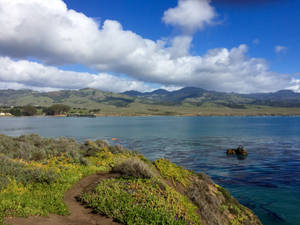 San Simeon Cliff Side Wallpaper