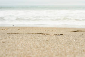 Sand 1920x1080 Hd Beach Desktop Wallpaper