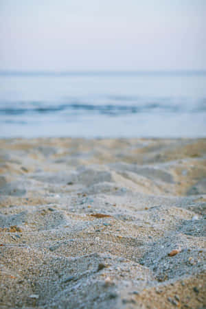 Sand Beach New England Summer Wallpaper