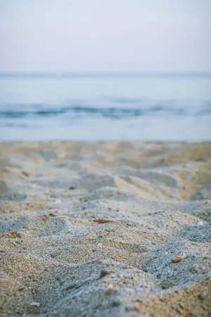 Sand Beach New England Summer Wallpaper