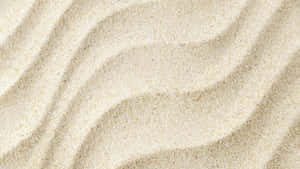 Sand Marine Texture Wallpaper