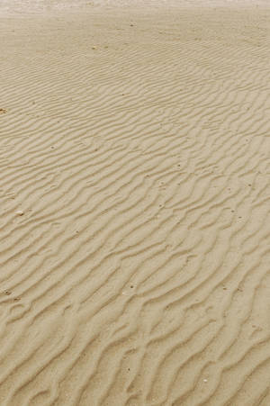 Sandy Beach Iphone Wallpaper