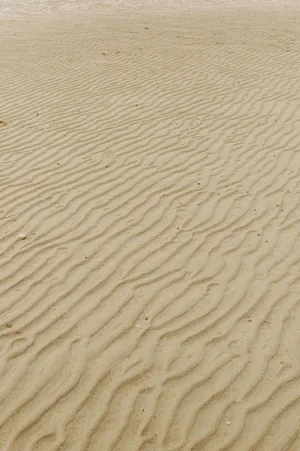 Sandy Beach Iphone Wallpaper