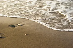 Sandy Beach Waves Screensavers Wallpaper