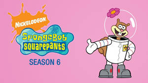 Sandy Cheeks Spongebob Squarepants Season 6 Wallpaper