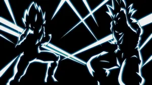 Sangoku And Vegeta Wallpaper