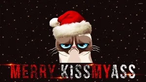 Santa Cat Meme Wallpaper