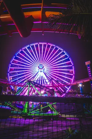 Santa Monica Neon Ferris Wheel Wallpaper