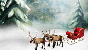 Santa's Reindeer In Sledge Wallpaper