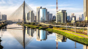 Sao Paulo Brazil Ponte Estaiadia Bridge Wallpaper