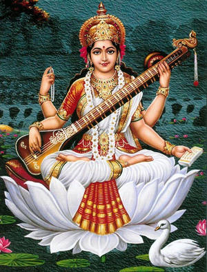 Saraswati Devi On Water Lily Wallpaper