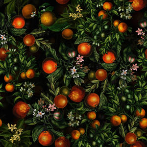 Satsuma Mandarins Vector Artwork Wallpaper