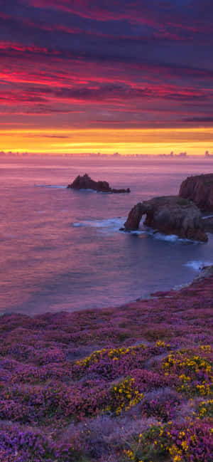 Say Goodbye To Summer Wallpaper