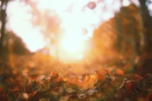 Say Goodbye To Summer With A Sunset Walk On The Beach Wallpaper