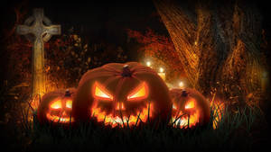 Scary Halloween Evil Pumpkins Wallpaper
