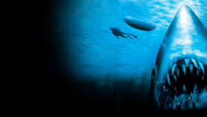 Scary Shark Near Person Wallpaper