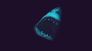 Scary Shark Open Mouth Wallpaper