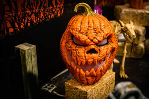 Scary Skull Jack O Lantern Pumpkin Wallpaper