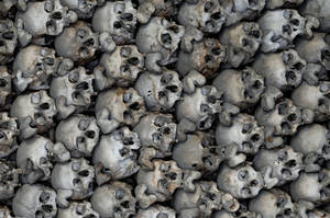 Scary Skulls Pile Wallpaper