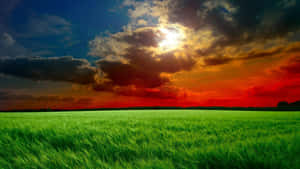 Scenic Laptop 1366 X 768 Wallpaper