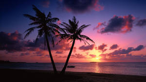 Scenic Tropical Beach Sunset Desktop Wallpaper