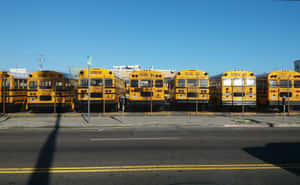 School Bus Parking Space Wallpaper