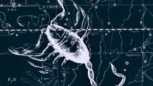 Scorpio Constellation Blueprint Wallpaper