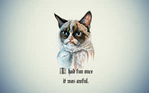 Scruffy Grumpy Cat Wallpaper