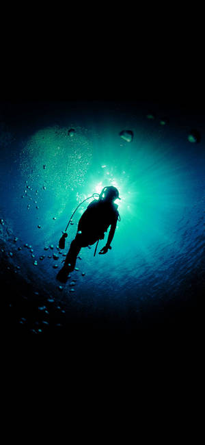 Scuba Diving Beam Of Light Wallpaper