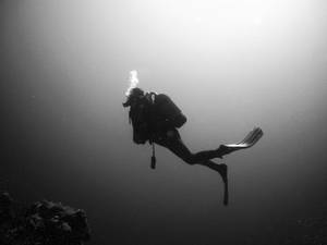 Scuba Diving Black And White Wallpaper